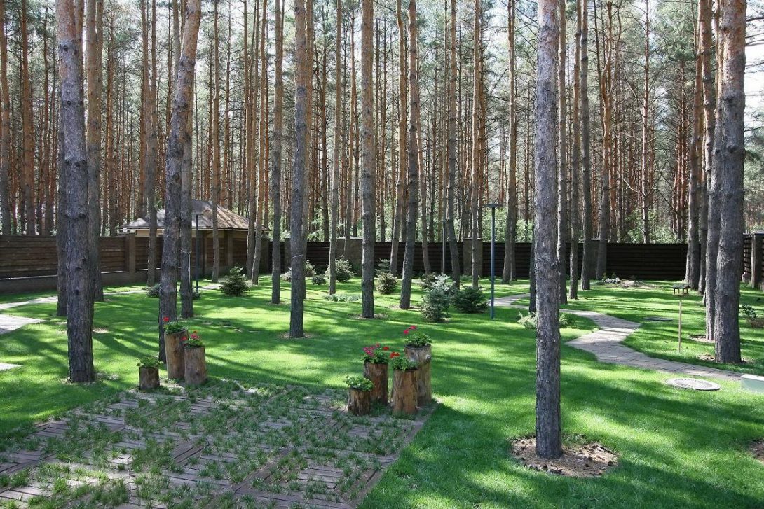 Экологичный дом в с.Песчанка