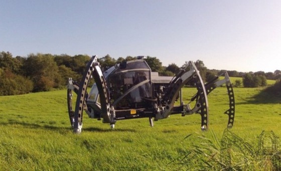spider rent